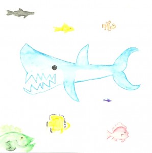 shark